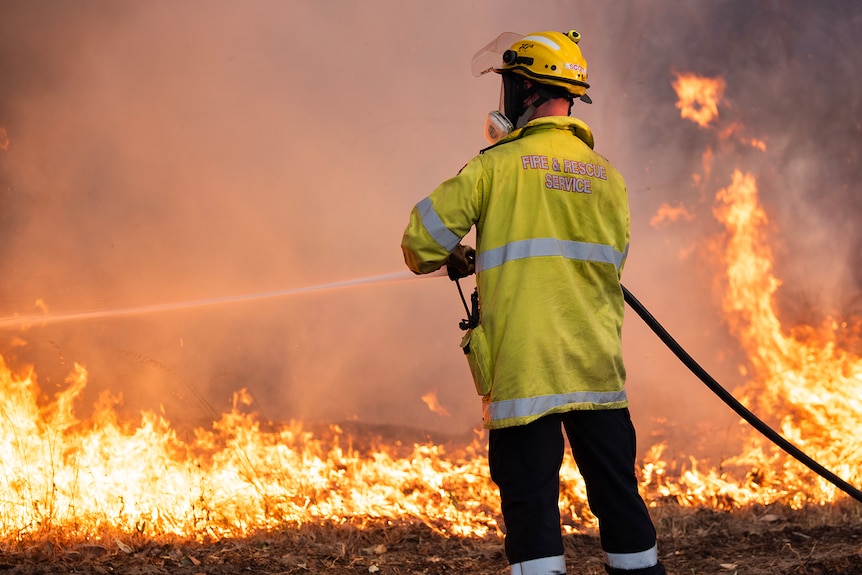 Firefighters stand amongst burning bushland to extinguish a fire