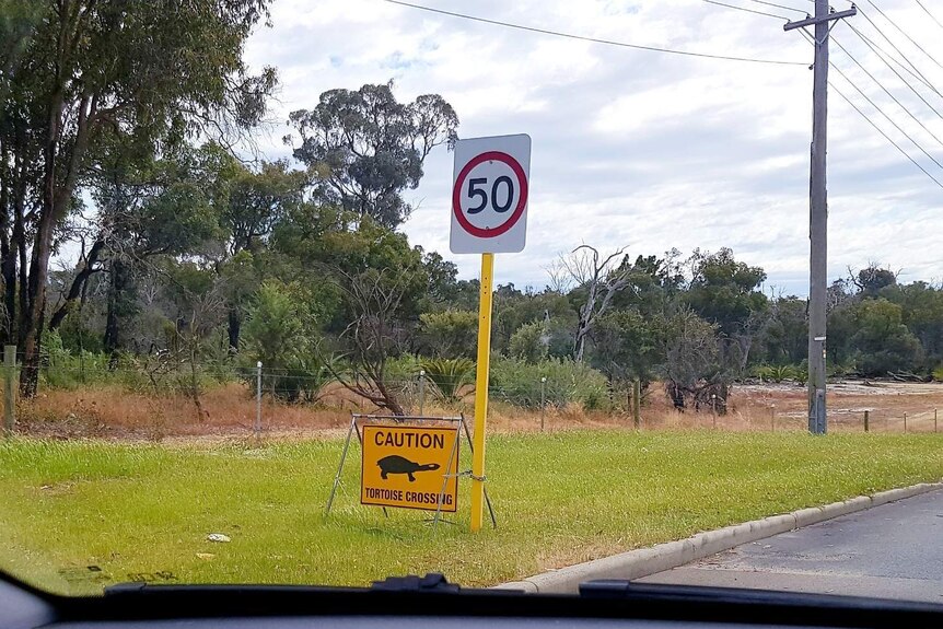 Road sign warning of crossing turtles