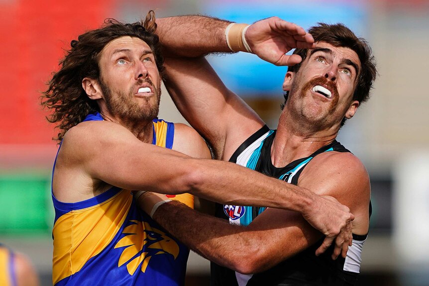 A West Coast AFL player pushes against a Port Adelaide opponent as they look up at the ball in a contest.