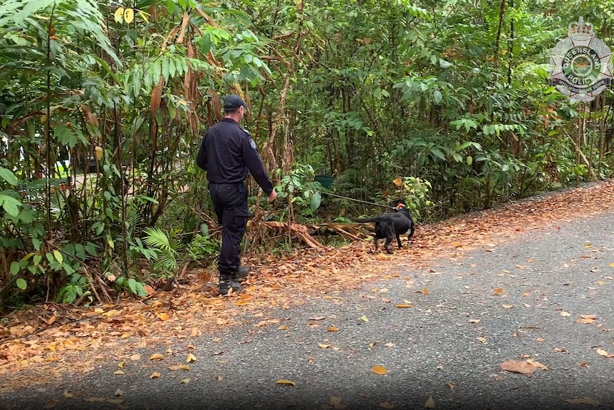 a police officer and dog in rainforest 