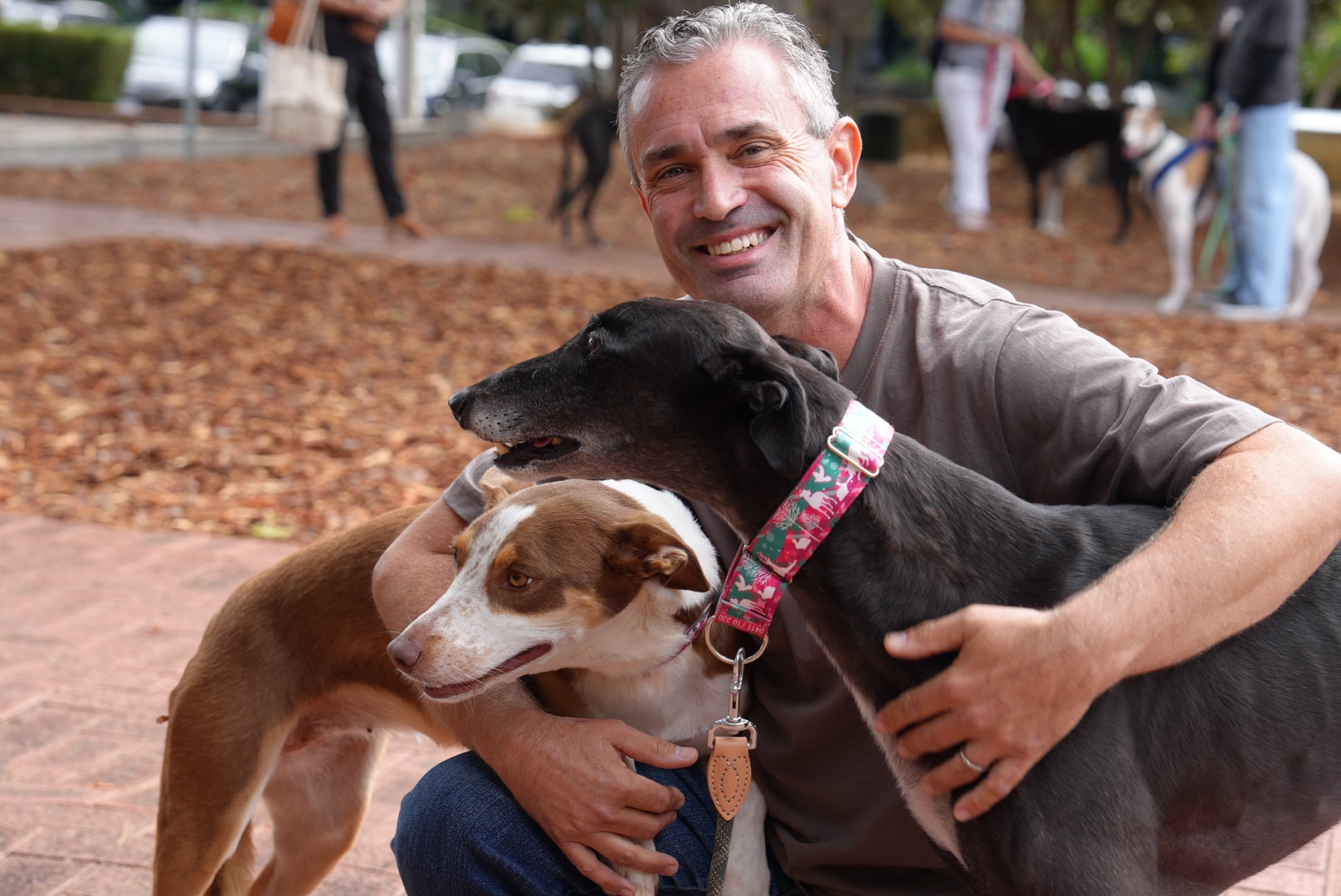 A man smiles posing for a photo while crouching on the ground and hugging two greyhounds, one brown and white and one black.