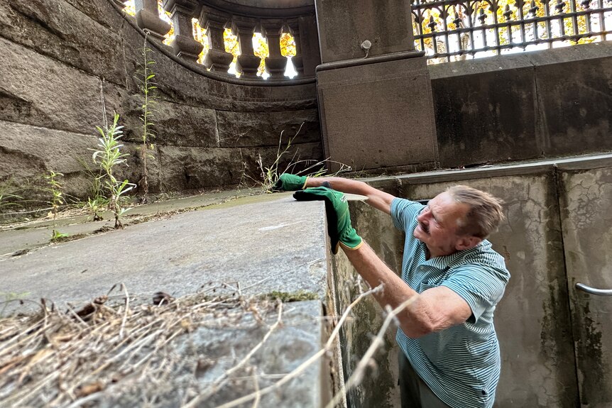 A man reaches to pick some weeds growing out of concrete