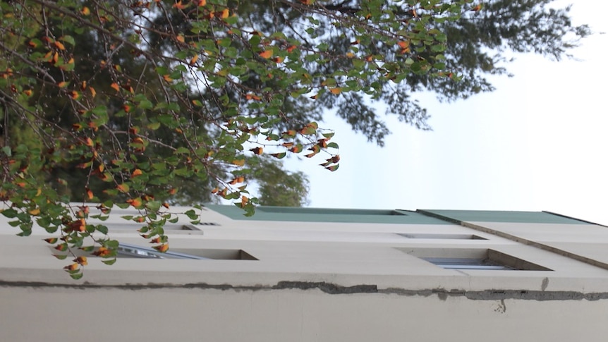 A long vertical crack running up the side of a multi-storey building.