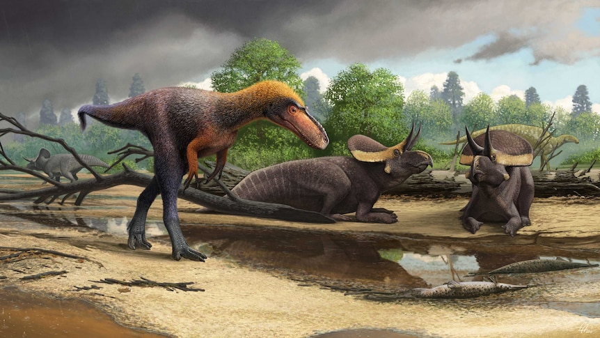 Artist impression of the Suskityrannus hazelae dinosaur.