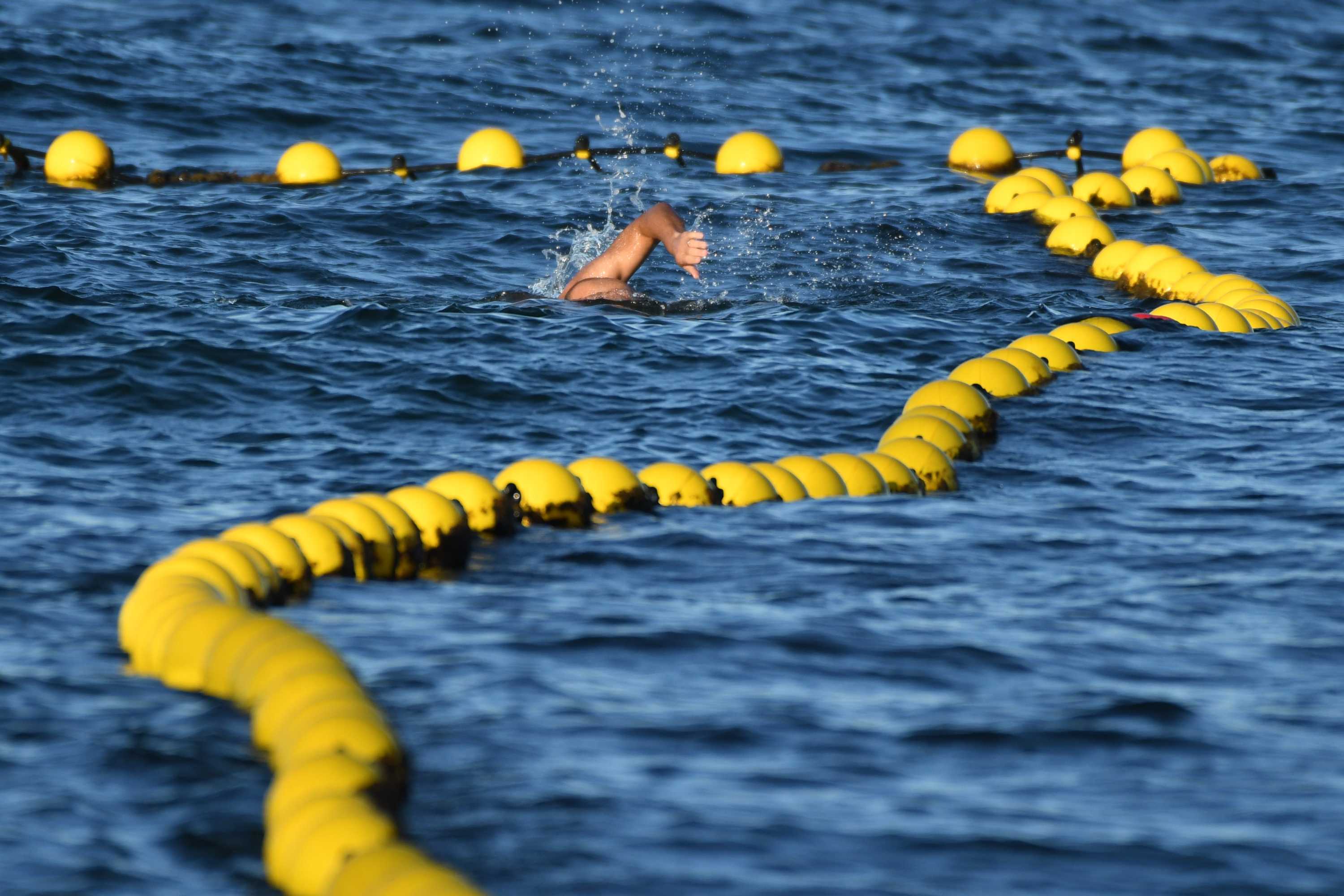 Esperance shark attack prompts familiar debate as shark net sees
