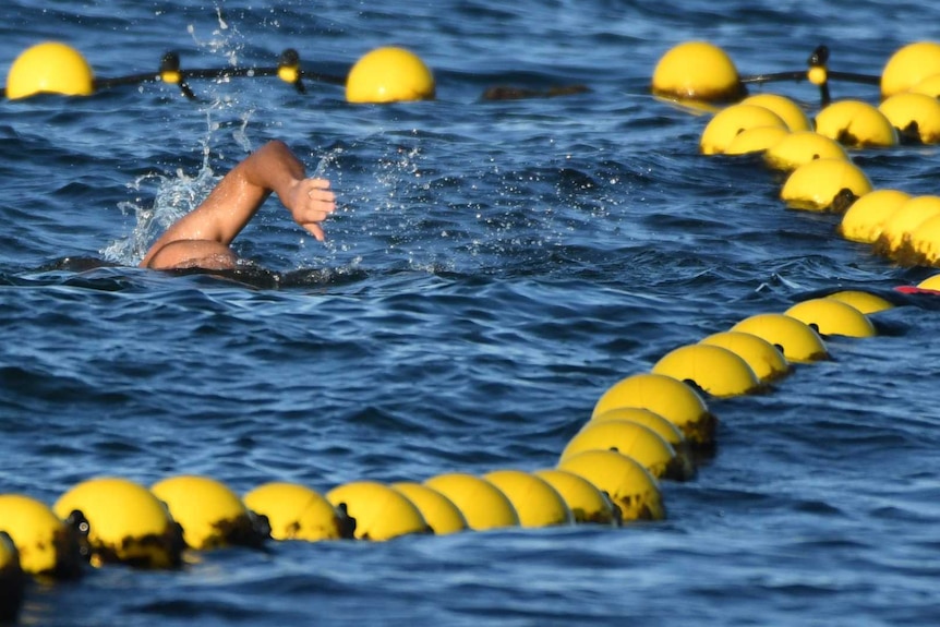 A swimming alongside a line of bright yellow buoys that mark out the shark net at Cottesloe beach.
