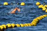 A swimming alongside a line of bright yellow buoys that mark out the shark net at Cottesloe beach.