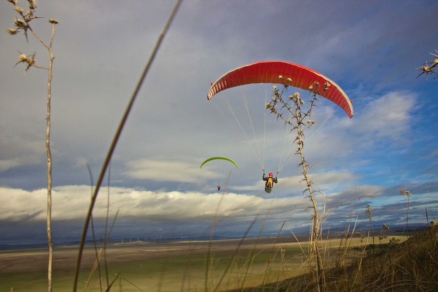 Paragliders take advantage of the weather