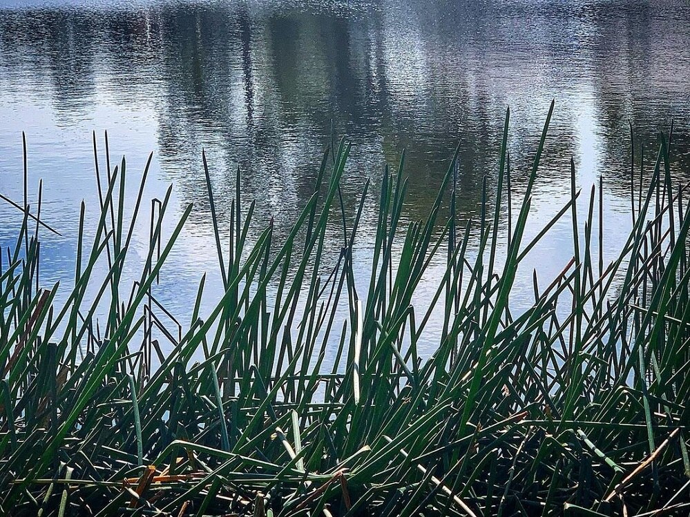 Program on drought preparations expands to more farms - ABC listen