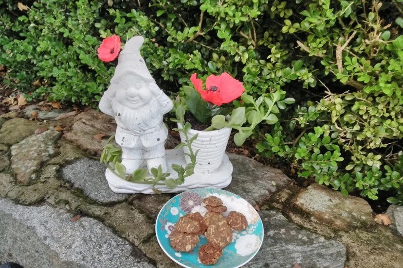 A garden gnome with poppies and plate of Anzac biscuits.