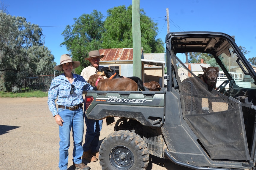 Older couple stand alongside their working dogs who are seated on a farm quad.