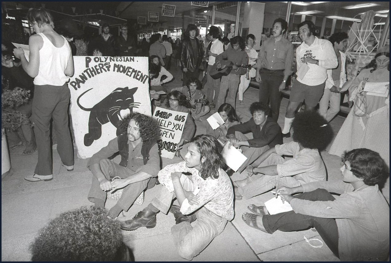 A group shot of protesters sitting on the ground around a Polynesian Panthers sign. 