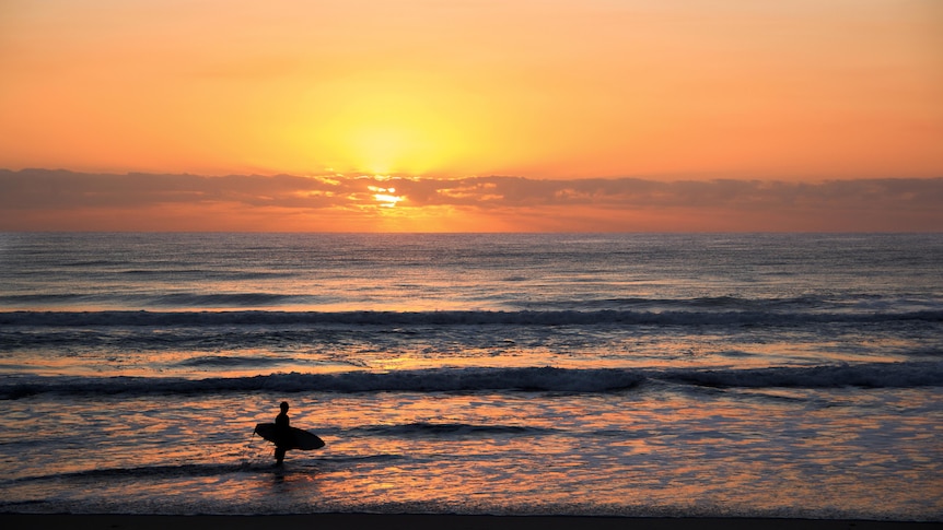 Man stands in knee deep wave holding board as sunsets