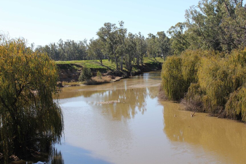 Photo shows the Macquarie River.