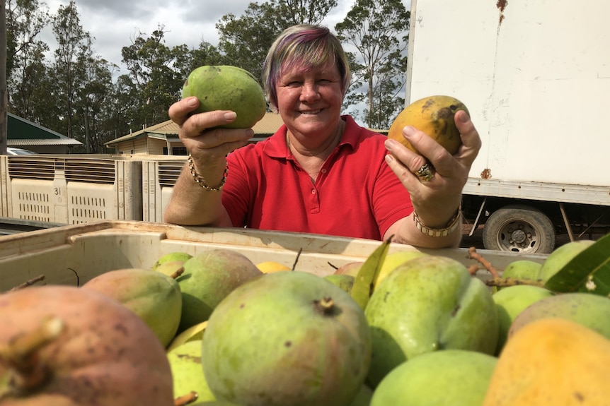 Marlene Owen stands in front of a tub of mangoes, holding two mangoes.