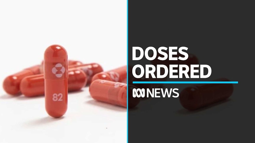 What is molnupiravir and why has the government just ordered 300,000 doses?  - ABC News