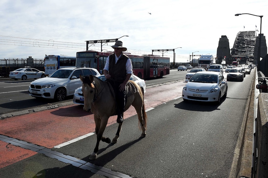 Glenn Morris, from Inverell in the state's north-west rides a horse across the Harbour Bridge.