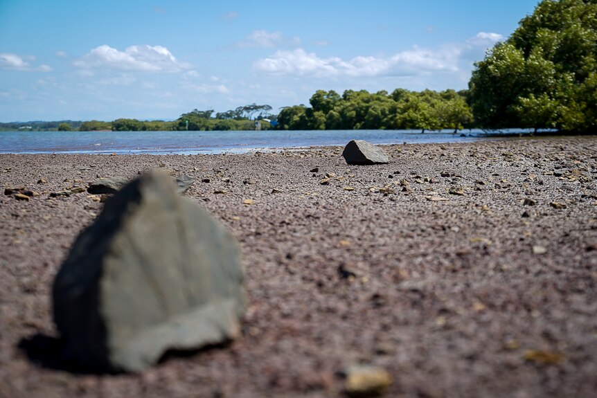 Some rocks on the ground at Toondah Harbour.