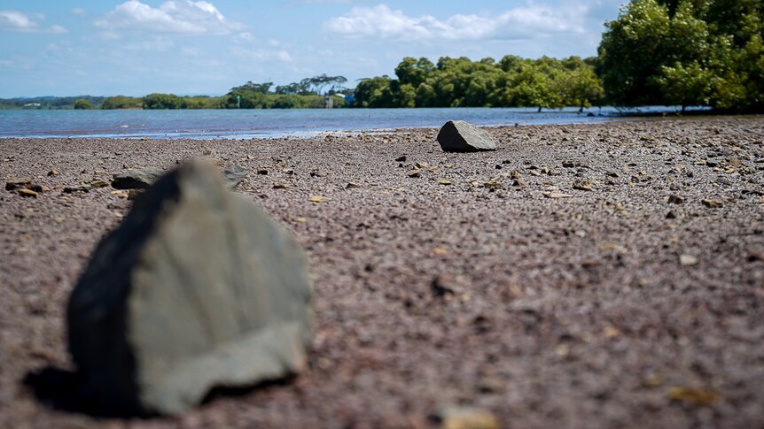 Some rocks on the ground at Toondah Harbour.