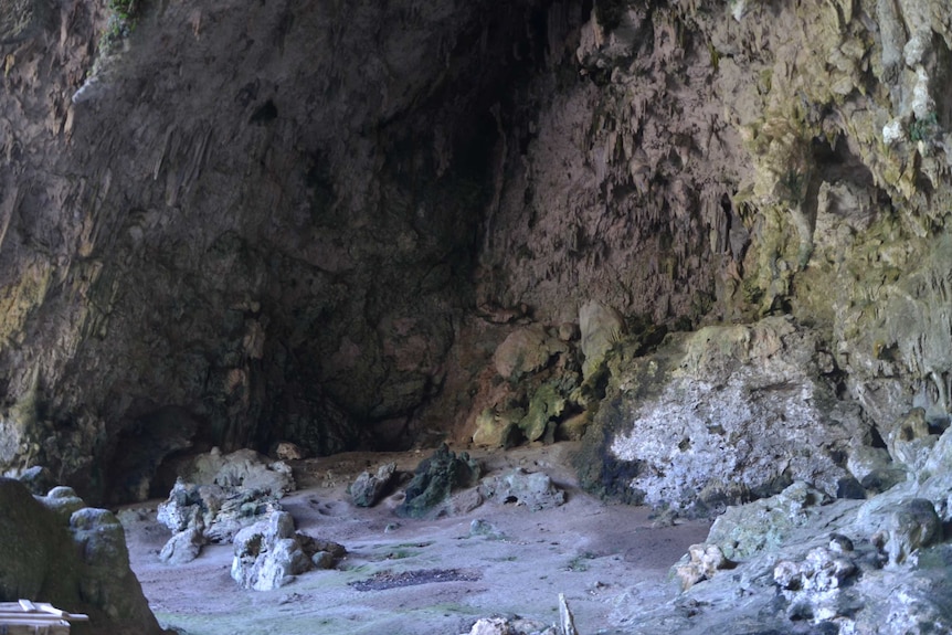 Liang Bua cave, Flores, Indonesia.