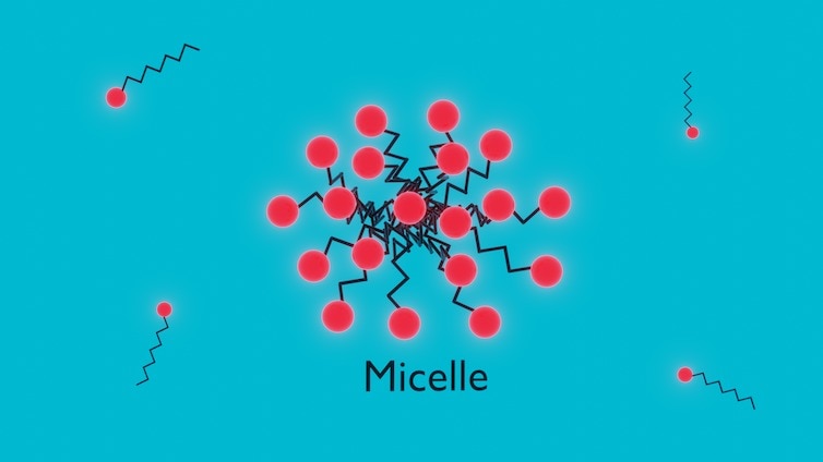 An illustration of a micelle.