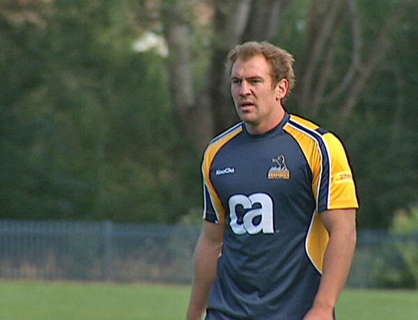 Elsom not looking beyond Brumbies - ABC News