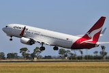 A Qantas jet takes off
