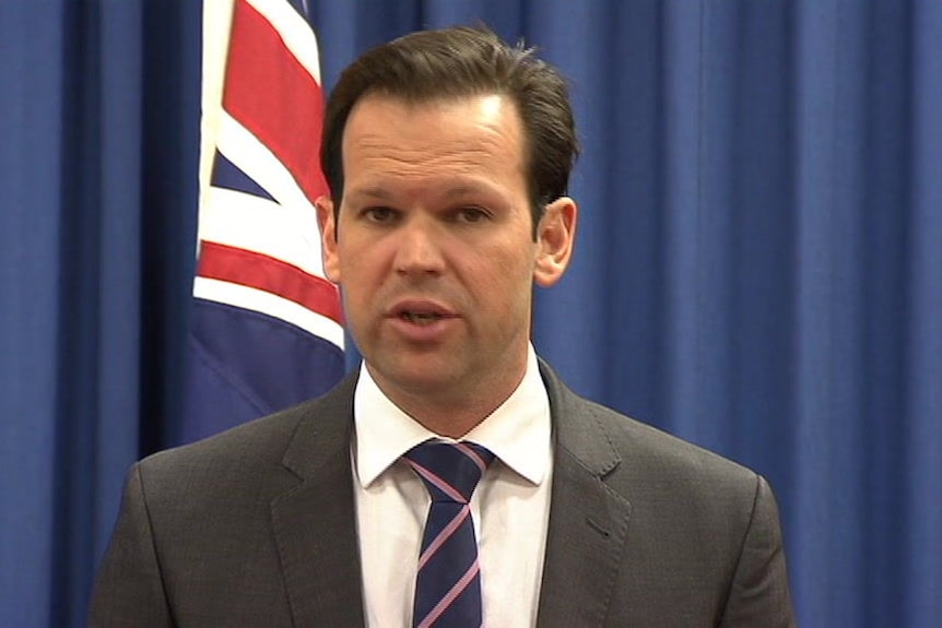 Matt Canavan resigns from Malcolm Turnbull's ministry over citizenship doubts