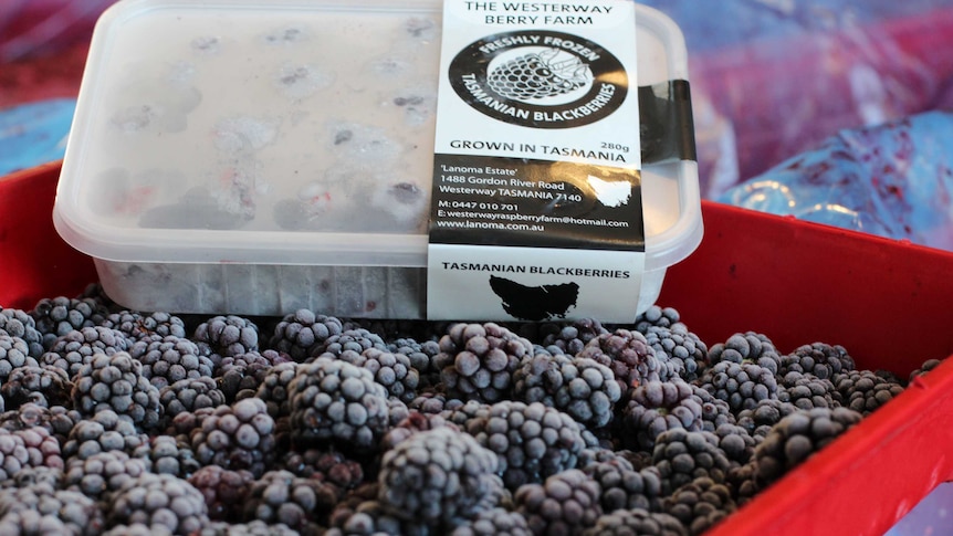 A container of frozen blackberries sitting atop a crate of blackberries.