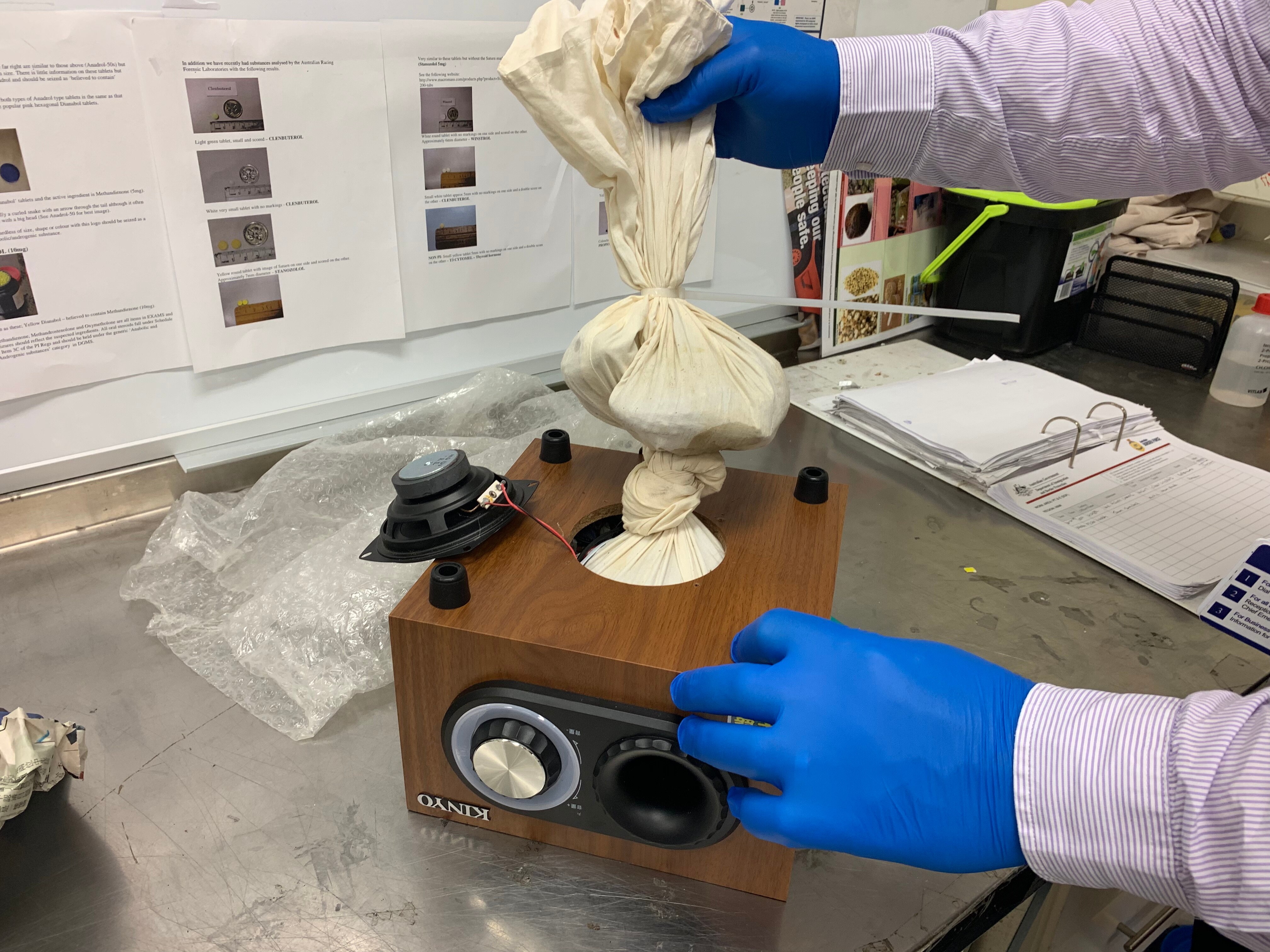 Shingleback lizard smuggling fears spark call for greater native