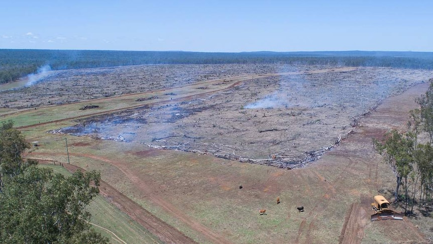 Smoke rises from cleared land