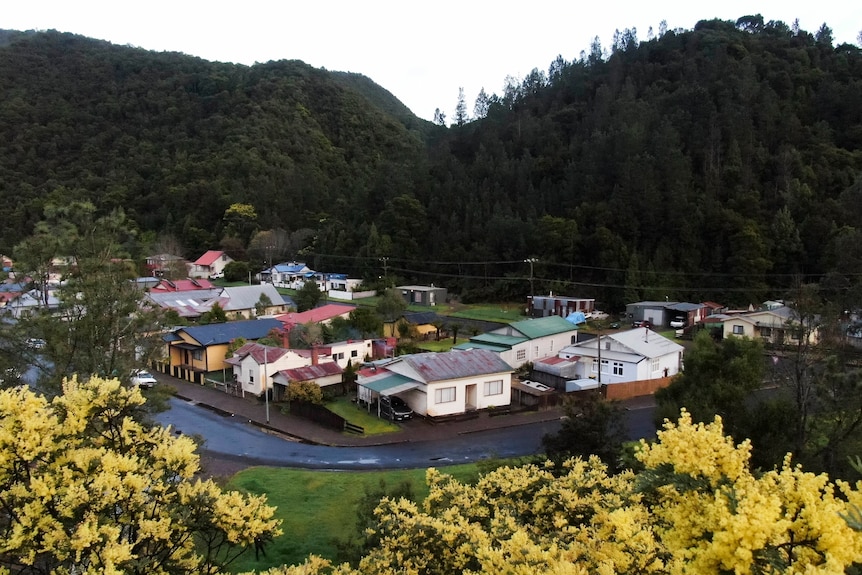 A group of houses in a street with a hill in the background