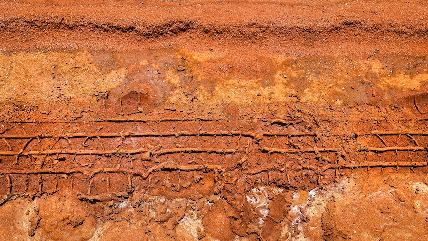 close shot of red dirt in several hues, with tyre tracks