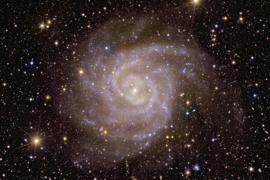 Euclid_s_view_of_spiral_galaxy_IC_342