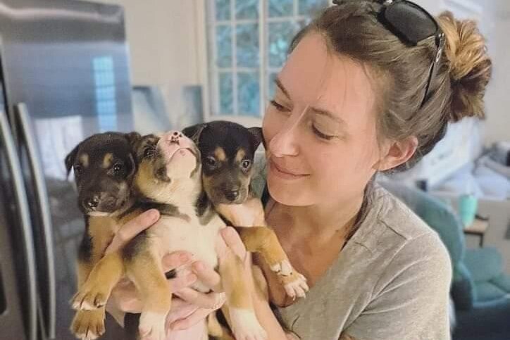 A girl holds three puppies together up near her face. 