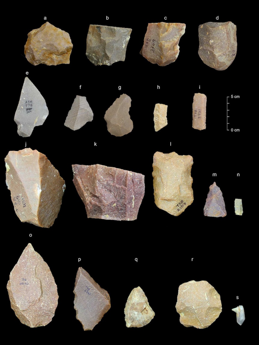 Middle Stone Age tools.