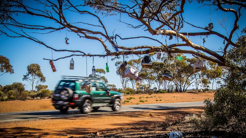 Kettles hanging in tree in outback