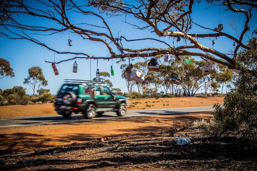 Kettles hanging in tree in outback