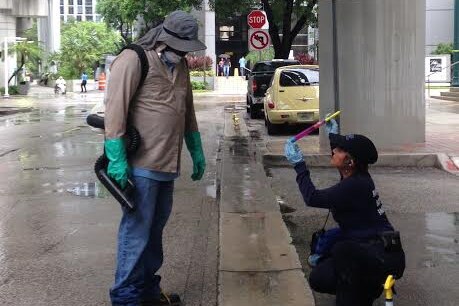 Miami-Dade County mosquito control inspectors check on mosquito larvae in bromeliad plants