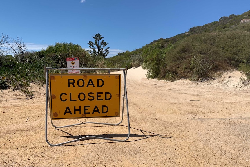 A sign reading  Road Closed Ahead on a gravel road amid scrubland.