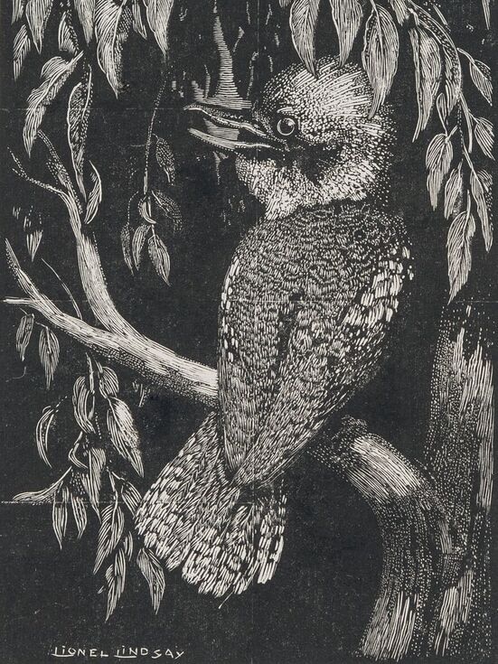 Woodcut of a kookaburra by Lionel Lindsay