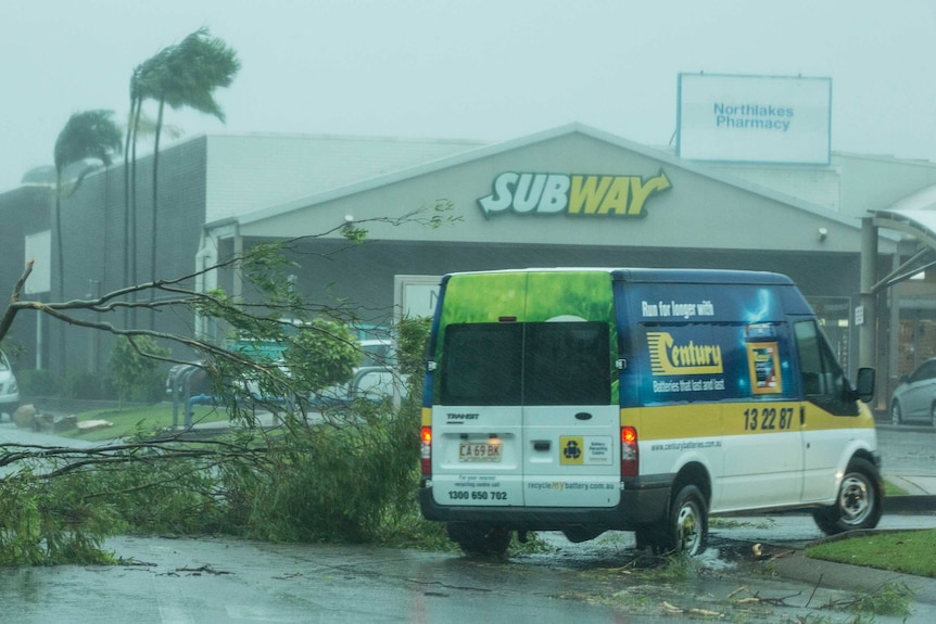 A van barely manoeuvrers around a toppled tree near a subway