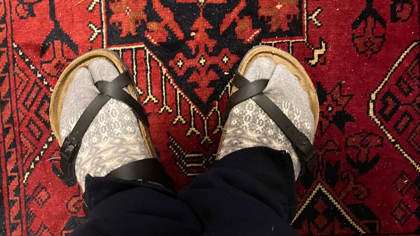 part of a series of listener submitted socks with sandals photographs