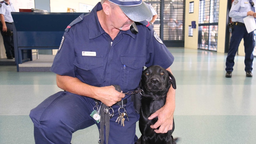 Woodford Correctional Centre