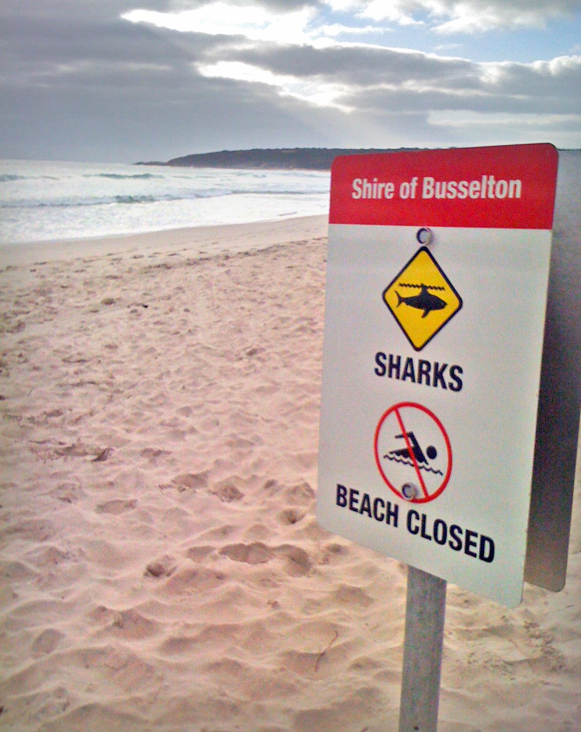 Hunt for shark that killed WA surfer - ABC News