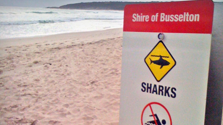 Beach closed due to sharks sign