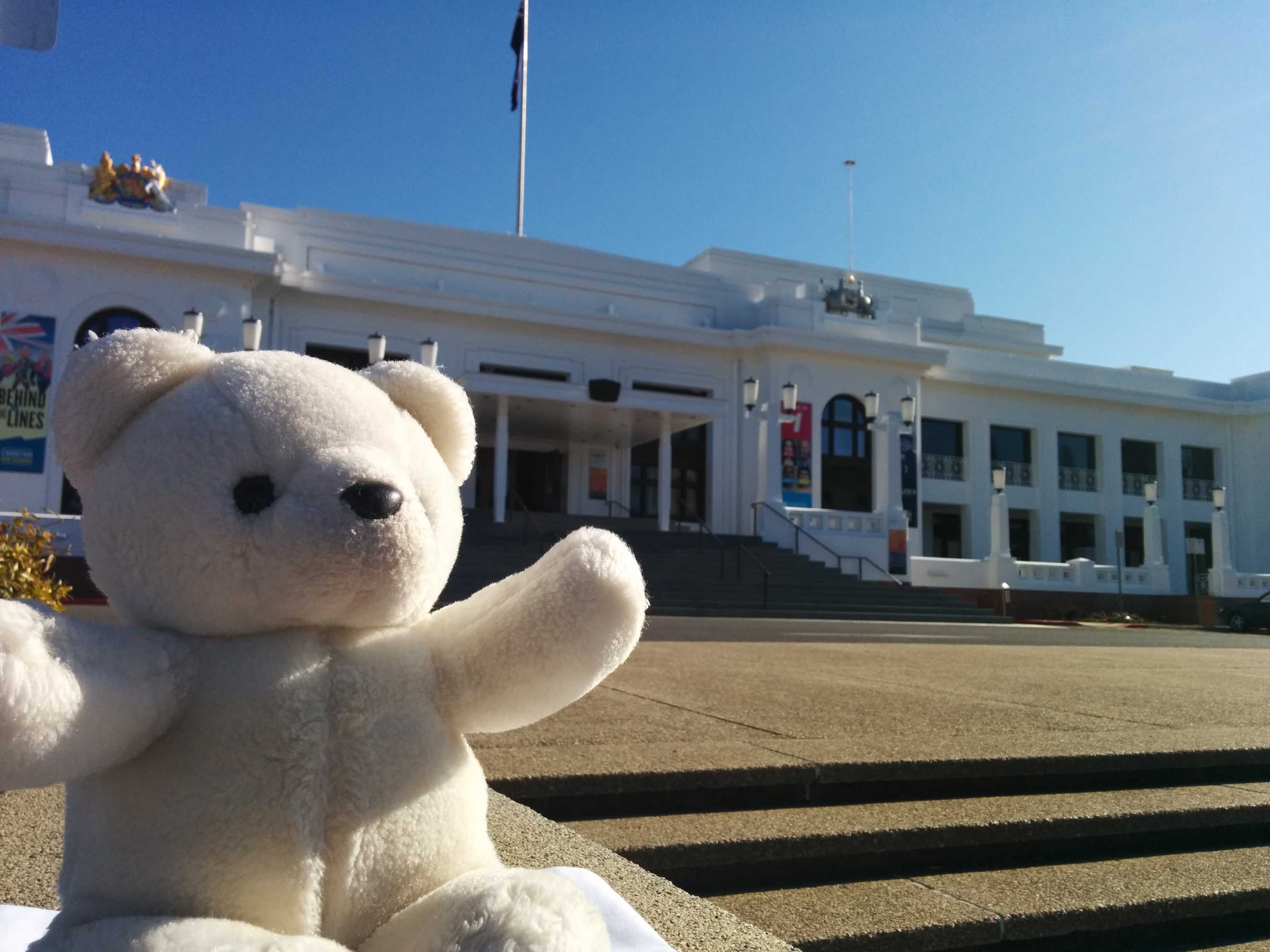 Lost teddy bear's Canberra adventure captured on camera by helpful