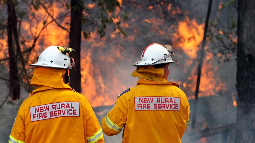 Two members of the NSW Rural Fire Service fight a bushfire