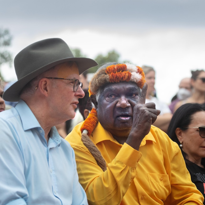 Yunupingu and Albanese.