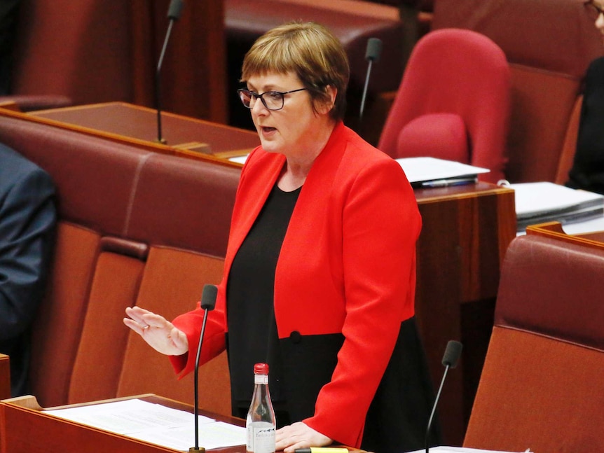 A woman with short brown hair and glasses wearing a bright red jacket mid-sentence in the Senate behind a microphone